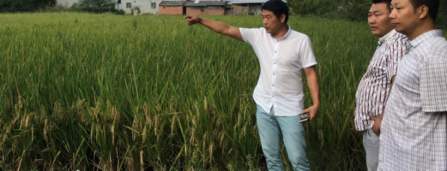 1506736979461717.png 图片4.png