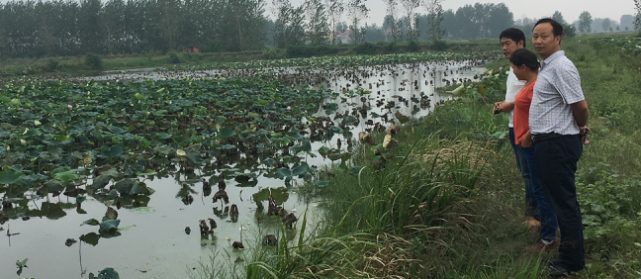 1506736992845793.png 图片5.png